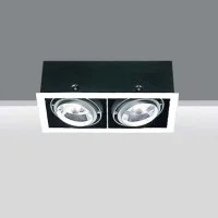 IGuzzini 8880 Frame Doppio Due luci 2 X PAR30 LED faro incasso
