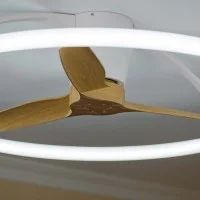 Mantra Nepal Ceiling Light with Fan Dimmable LED with Remote