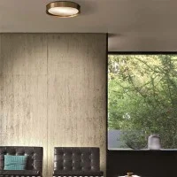 Oluce Berlin LED Ceiling and Wall Lamp For Indoor By Christophe
