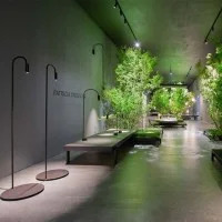Flos Caule Floor 5 Lampada da Terra a LED Dimmerabile da