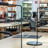 Lumina FLO Desk Dimmable Adjustable LED Table Lamp By Foster +