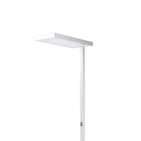 Logica Clara Floor Lamp with Biemission LED Dimmable for Indoor
