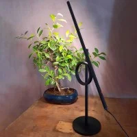 Pallucco Tangent Mini Adjustable LED Dimmable Table Lamp By
