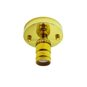 Ceiling or Wall Lamp with Gold Lamp holder Vintage style