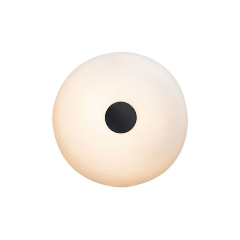 Fontana Arte Tropico Large Wall/Ceiling LED Dimmable Lamp By