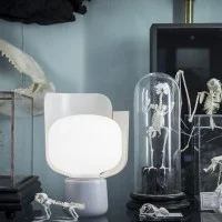Fontana Arte BLOM Rotatable Table Lamp for Indoor By Andreas
