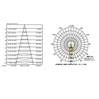 Spotlight 400mm Suspension Spot 7W LED Indoor with Warm Light