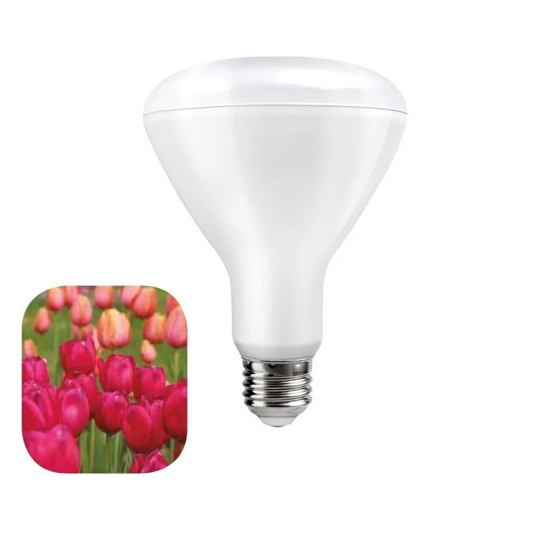Daylight Italia FLOWERING LED Bulb Plant Flower BR30 100-240V