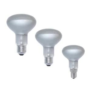 Daylight Lampadina Con Riflettore Satinata COB LED 2700K Luce