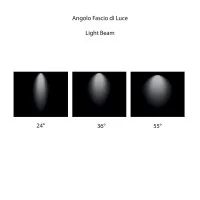 Adjustable Spotlight 40W LED High Brightness for Three-phase