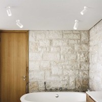 Faretto Orientabile da Binario Trifase o Soffitto 8W LED 24°