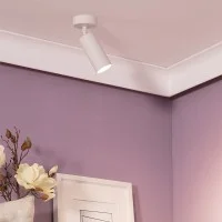 Adjustable Three-phase Track or Ceiling Spotlight 12W LED 24°