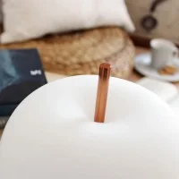 Kundalini Kushi XL Table Lampada Dimmerabile da Tavolo in Vetro