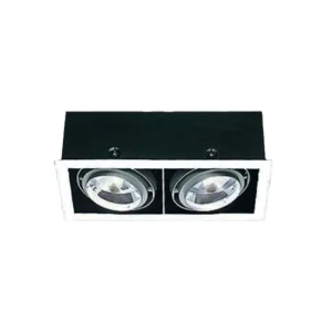 IGuzzini Frame Doppio Due luci 2 X PAR30 LED faro incasso Da