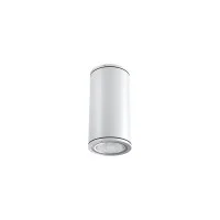 Flos Emma Ceiling 2 Lampada LED 6W da Soffitto IP65 Cilindro
