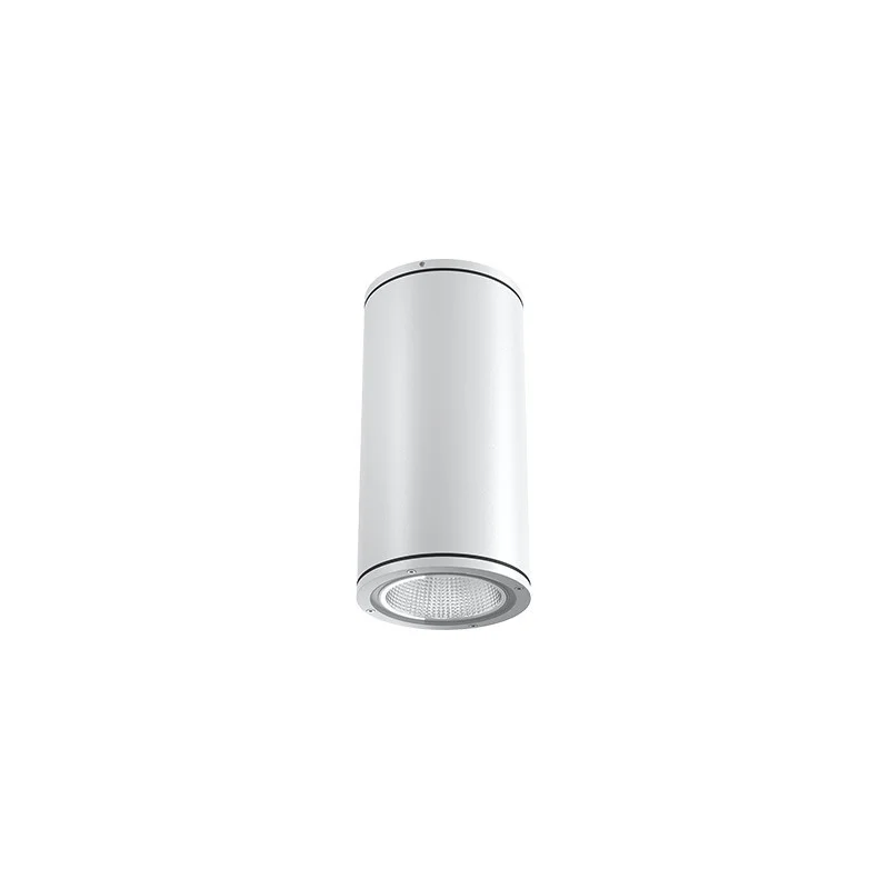 Flos Emma Ceiling 2 Lampada LED 6W da Soffitto IP65 Cilindro