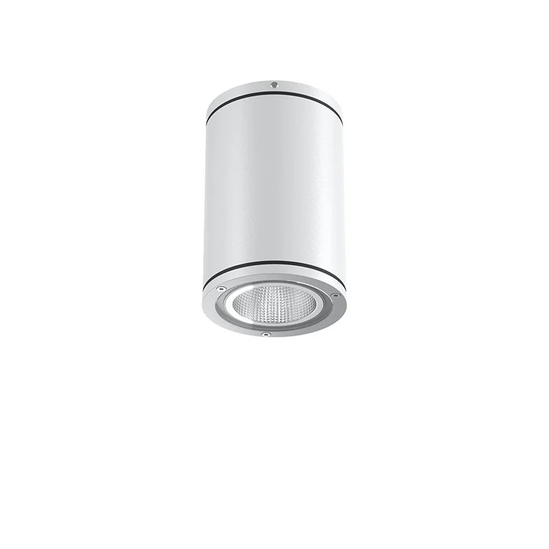 Ares Yama COB 10W LED 110mm H 170mm LED Cylinder Ceiling Lamp Ares Yama COB 10W LED 110mm H 170mm LED Cylinder Ceiling Lamp