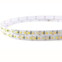 Lampo Strip Striscia LED 3528 180led/m 24V 14.4W/mt Bobina 5