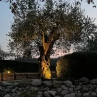 Beneito Faure FIX Proiettore LED E27 da Esterno Nero con