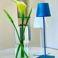 Zafferano POLDINA PRO LED Table Battery Lamp USB Rechargeable