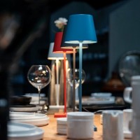 Zafferano POLDINA PRO LED Table Battery Lamp USB Rechargeable