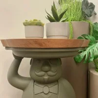 Slide Design Accessory Top in HPL Weng Finish for AMBROGIO