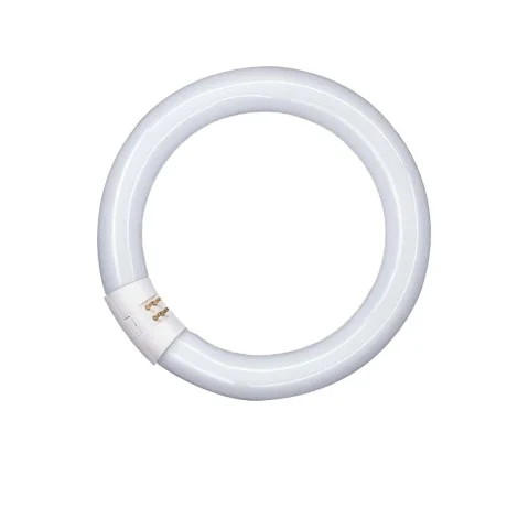 Osram Fluorescent Circular Lamp 32W 840 2250lm 29mm LUMILUX