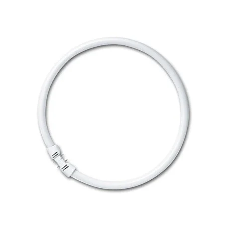 Osram Lampada Fluorescente Circolare T5 FC 55W 865 3800lm