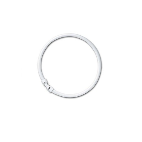 Osram Lampada Fluorescente Circolare T5 FC 22W 840 1800lm