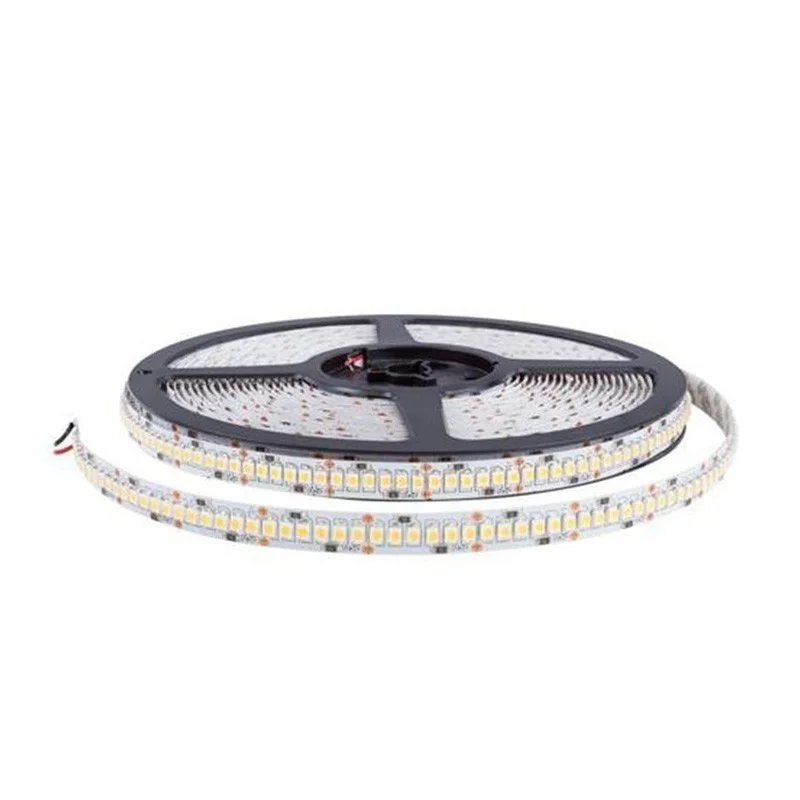 Iled Strip Striscia LED Ribbon 240led/m 24V 19.2W/mt Bobina 5