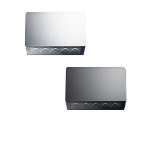 iGuzzini Laser Blade InOut Rectangular Applique 5 x LED Outdoor Ceiling Lamp IP65 IGuzzini - 1