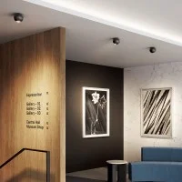 Lodes Spider Lampada Sferica da Soffitto Orientabile a LED