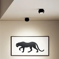 Lodes Spider Adjustable LED Spherical Ceiling Lamp for Indoor