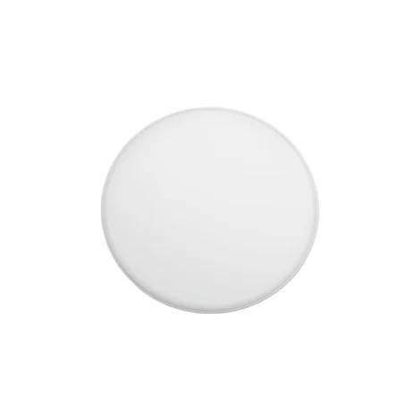 Flos Diffuser Replacement Accessory for Smithfield Lamps