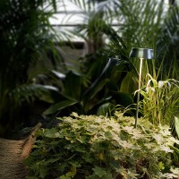 Ai Lati Sister Light LED Garden Ground lamp Rechargeable For Outdoor Use