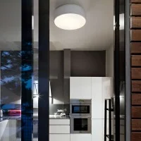 Flos Smithfield Ceiling Pro Lamp in Aluminum By Morrison