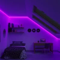 Striscia RGB 1 Metro LED COB 15W 12V Dimmerabile IP65 con Telecomando