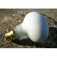 copy of Cornalux Bulb Head Hammer B22 to G9 in Pyrex glass