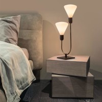 Cattaneo Smith 2L Table Lamp in Brass 2 Arms for Indoor