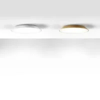 Artemide FEBE LED Wall/Ceiling Lamp By Gismondi and Moioli