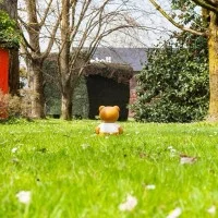 Kartell x Moschino TOY Teddy Bear LED Lamp By Jeremy Scott Kartell x Moschino TOY Teddy Bear LED Lamp By Jeremy Scott