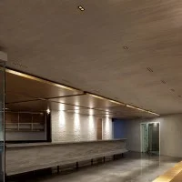 copy of Flos Light Shadow Fixed Trim 2 LED 5W 22° Dimmable DALI Recessed