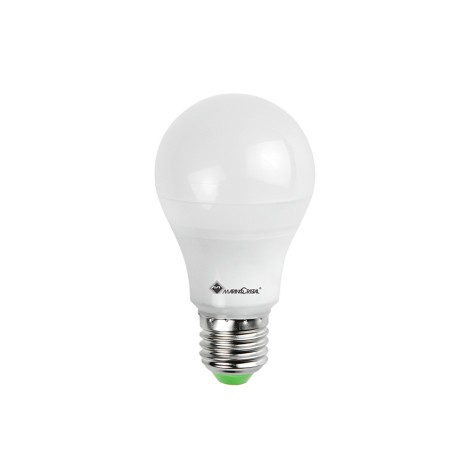 copy of Daylight Italia Lampadina LED E27 12V 24V 9W 806lm 3000K Bassa Tensione