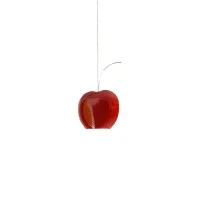 Aldo Bernardi Fruits LED Ceramic Suspension Lamp for Indoors Aldo Bernardi Fruits LED Ceramic Suspension Lamp for Indoors
