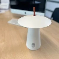 MUSH LED Portable Lamp Mushroom USB rechargeable for outdoor