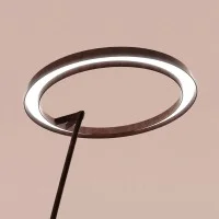Linea Light Lira Lampada LED da Terra ad Anello per Esterno