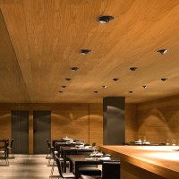 Flos Anthony Downlight Faretto LED Basculante da Incasso a Soffitto