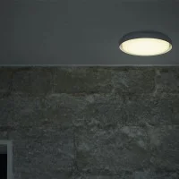 Flos Platter 310 Circular LED Wall or Ceiling Lamp IP66