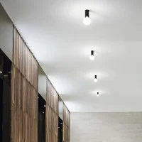 Ideal Lux Petit Lampada da Soffitto Moderna con Portalampada a Vista