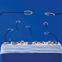 Artemide Vine Light Minimal Articulated LED Table Lamp